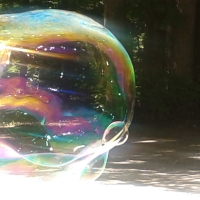 One Word Photo Challenge: Bubbles